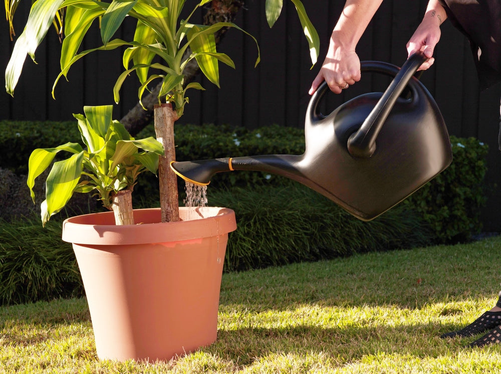 Bloem Easypour 2-in-1 Spout Watering Can with Dual Handle, 9.8-L, (2.6 US gal) Black