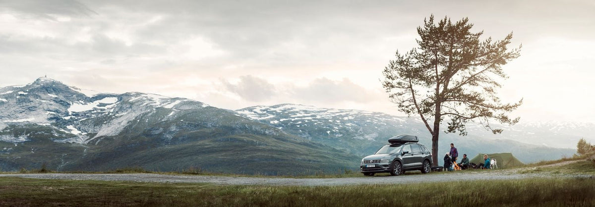 Thule Convoy XT Alpine Rooftop Cargo Box