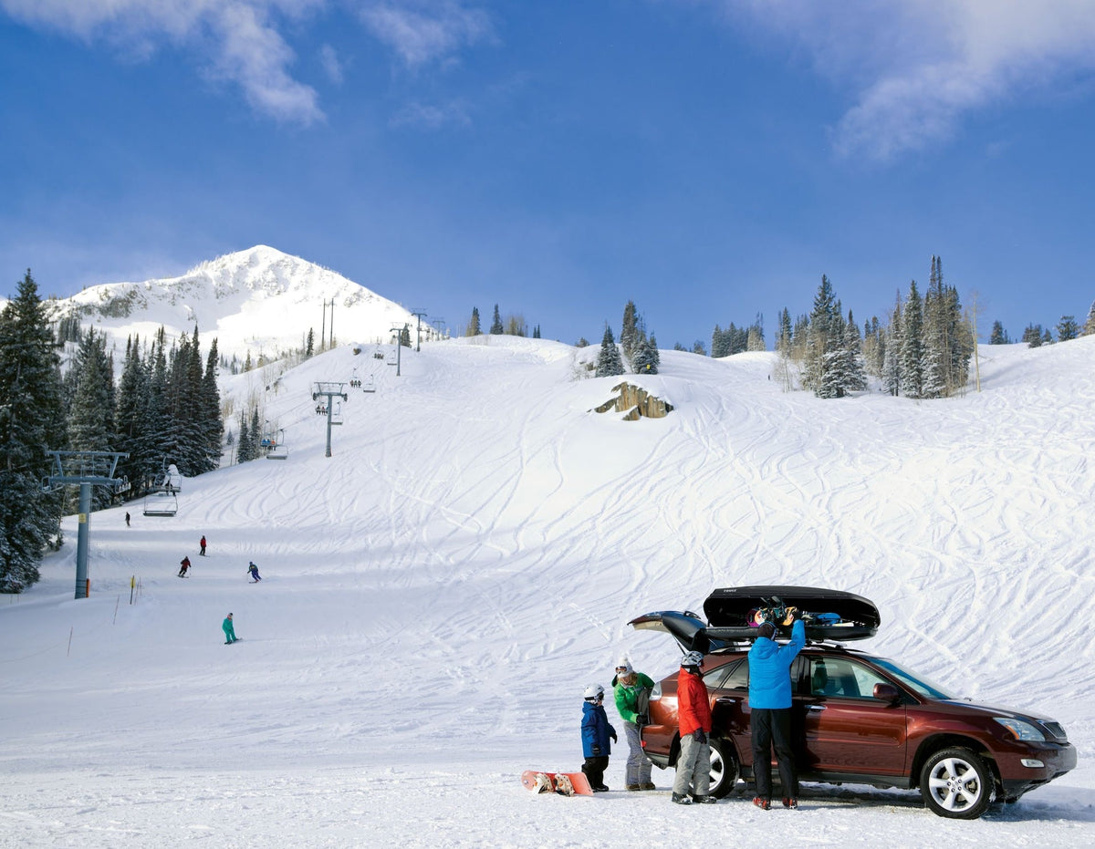 Thule Convoy XT Alpine Rooftop Cargo Box