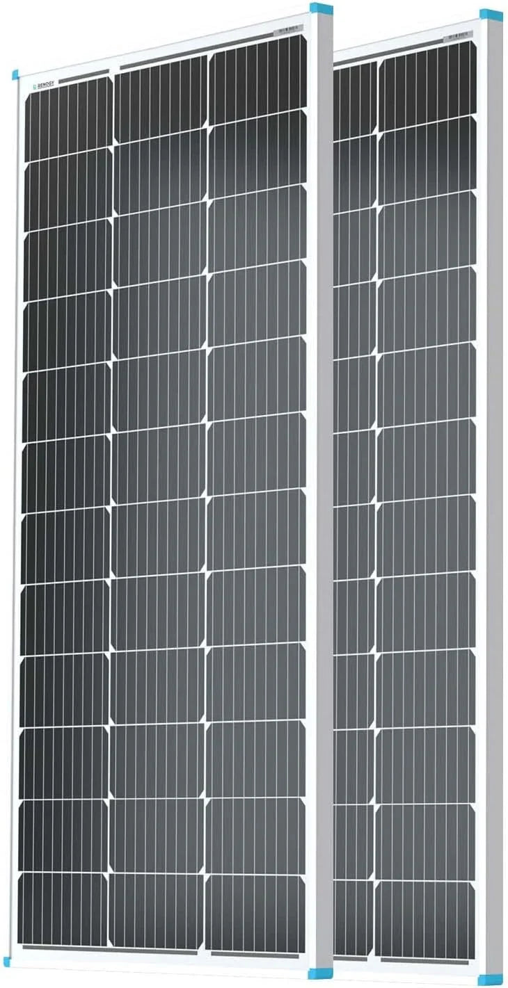 Solar Panel 100 Watt 12 Volt, High-Efficiency Monocrystalline PV Module Power Charger for RV Marine Rooftop Farm Battery and Other Off-Grid Applications, RNG-100D-SS, Single 100W W5