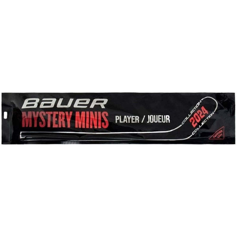 Bauer Mystery Mini Hockey Stick, Assorted Designs, 18-in D1
