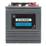 MOTOMASTER AGM Group Size 401 Auxiliary Battery, 180 CCA