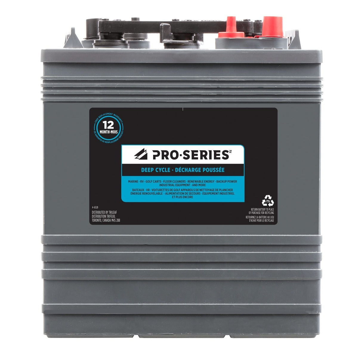 MOTOMASTER AGM Group Size 401 Auxiliary Battery, 180 CCA