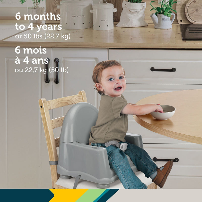 Safety 1st Easy Care Steel Fog Feeding Booster with Swing Tray Z9